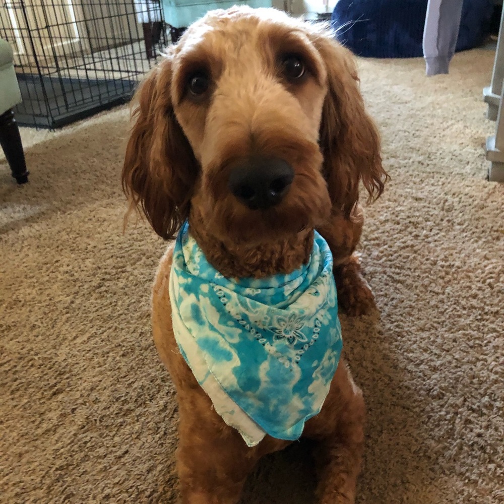 Tie dye bandanas.